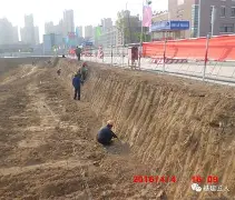 Ning梅奔F1为何如此冲上热搜的简单介绍|雷火竞技平台官网